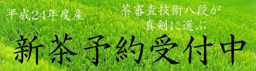 平成24年度新茶予約受付中