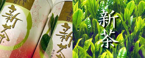 新茶